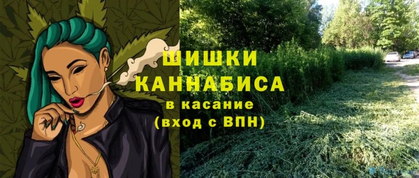 хмурый Алзамай