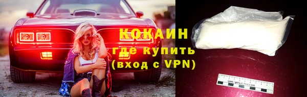 тгк Нея