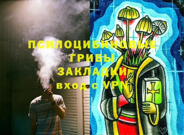хмурый Алзамай